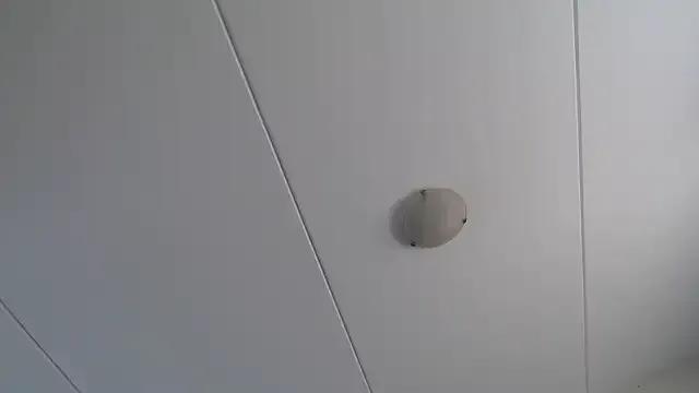 StupidNaturalPhatBooty_